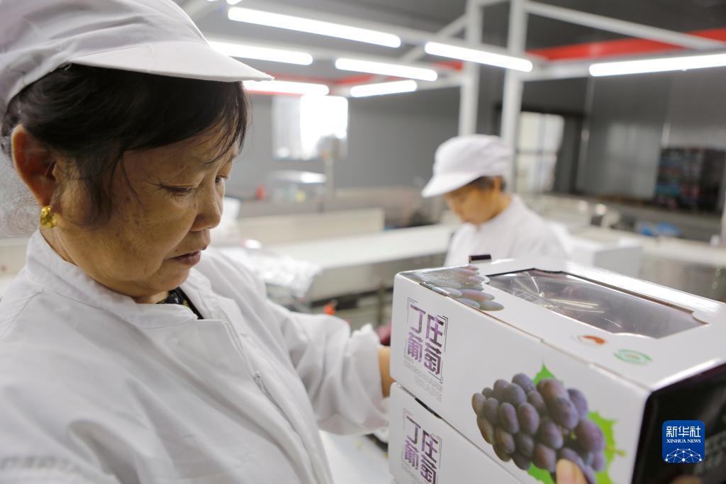 在线捕鱼游戏